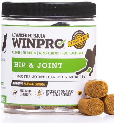 WINPRO Hip & Joint Supplement for Dogs - Plasma Powered Soft Chews for Joint Health & Mobility – Fast-Acting with Collagen & Natural Ingredients for Dogs of All Breeds – 60 Chews by WINPROPet