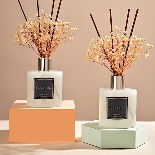 Cocorrína Premium Reed Diffuser Set with Preserved Baby's Breath & Cotton Stick Black Forest 2 Packs, 6.7oz Scent Fragrance Oil Diffuser for Bedroom Bathroom Home Décor - Image 2