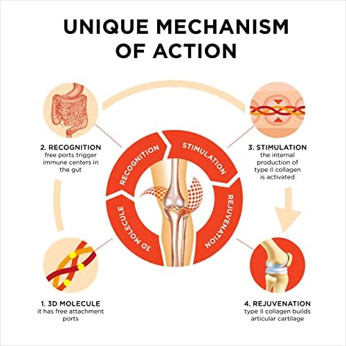 Collanol - Innovation in The Care of Healthy Joints – Liquid Formula in a Double Capsule. 3D Collagen + Micelle Extract of Turmeric Roots 1 Capsule/Day. Laboratory Tested - Image 6