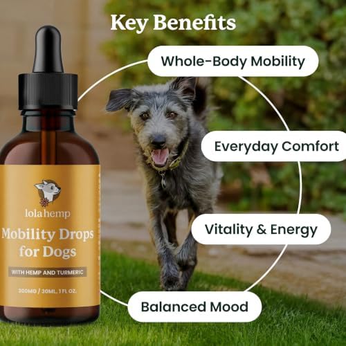 Lolahemp Mobility Drops for Dogs – Organic Hemp & Turmeric – Whole-Body Mobility, Hip & Joint, and Everyday Comfort - Image 2