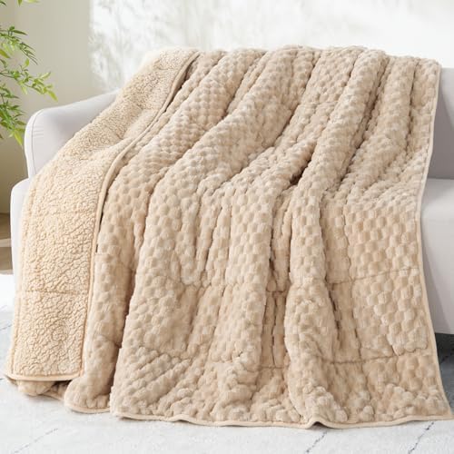 Drewin Weighted Blanket Full Size for Adults 12lbs,Beige,48 x 72 inches by Home