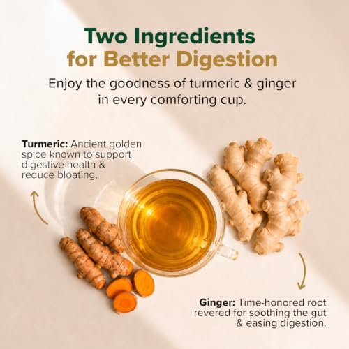 VAHDAM Organic Turmeric Ginger Herbal Tea Bags (100 Pyramid Tea Bags) Caffeine Free, Non GMO | 100% Pure Herbal Blend - Savory & Spicy, Plant-Based Teabags | Resealable Ziplock Pouch - Image 2