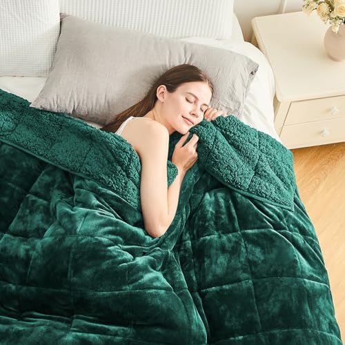 Cottonblue Weighted Blanket 20lbs for Adults Teens Queen Size 60x80in Soft by Cottonblue