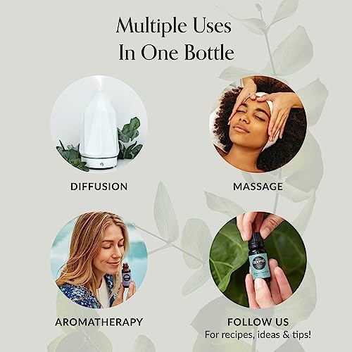 Edens Garden Sleep Essential Oil Discovery Sampler 6 Set – 100% Pure - Image 2