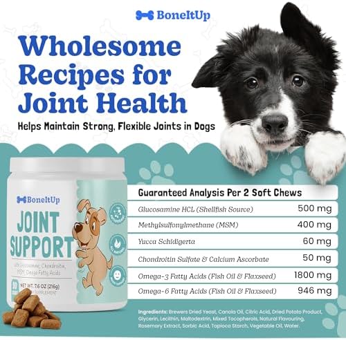 BoneItUp Soft Dog Joint Support Supplement Chews for Aging, Large & Overweight Pets - Glucosamine, Chondroitin, MSM & Omega - Advanced Hip & Joint Supplement for Dogs - Pet Bone Support Treats (90 Ct) - Image 3