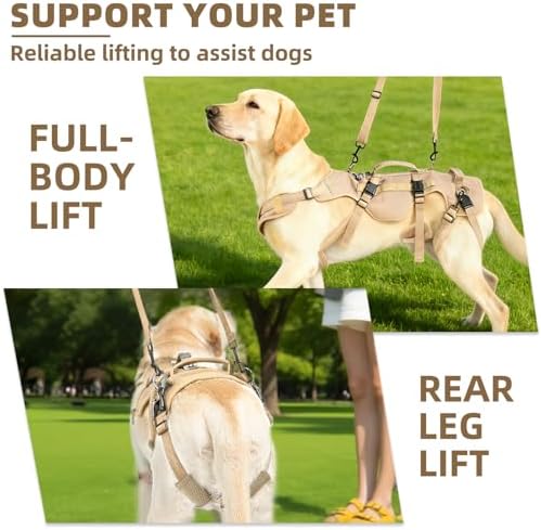 PUPTECK Dog Lift Harness for Medium Large Sized Dog, Rehabilitation Sling for Hind Leg Support, Multifunctional Mobility Assistance Harness for Old, Disabled, Joint Injuries, Paralysis Dogs, Brown L - Image 2