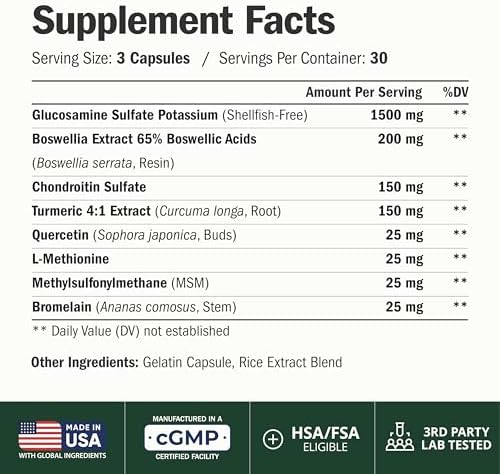 Glucosamine Chondroitin MSM – Joint Supplements for Men and Women with Glucosamine Sulfate 1500 mg – 8-in-1 Joint Health Supplement for Cartilage, Mobility & Joint Support – Shellfish-Free 2 Pack - Image 2