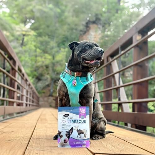 ARK NATURALS, Pet Sea Mobility Venison Jerky, 9 Ounce - Image 2