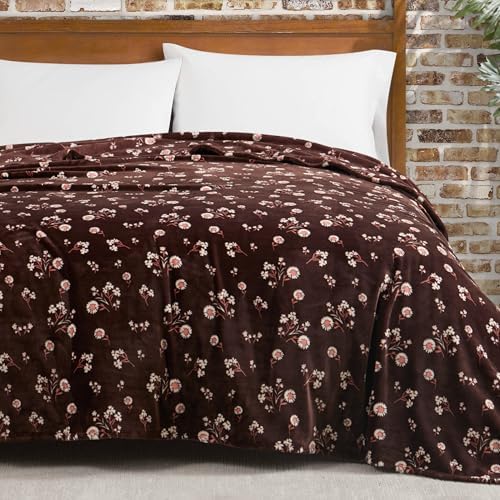 Lucky Brand Daisy Brown Floral 90"X90" Cozy Plush Blanket - Premium Microfiber Throw for Luxurious Comfort and Style Full/Queen Size by LuckyBrand