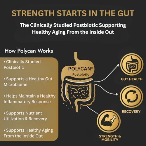 40+ Muscle Bone Joint Support | Clinically Studied Polycan® Postbiotic | Supports Gut Health, Muscle Preservation, Strength & Joint Mobility After 40 | 60 Capsules - Image 2