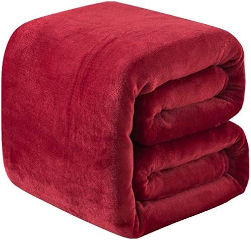 Fleece Queen Size Summer Blanket All Season 350GSM Lightweight Throw for The Bed Extra Soft Brush Fabric Winter Warm Sofa Blanket 90" x 90"(Red Queen) by RICHAVE