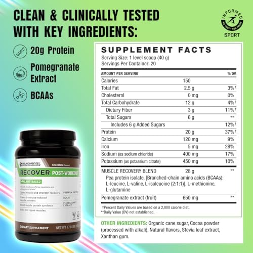 BODi Recover Post Workout Plant-Based Protein Powder-Chocolate, 20 Servings - Image 2
