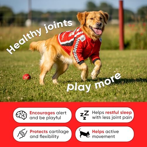 Hip & Joint Supplement for Dogs - Dog Treats with Glucosamine Chondroitin & Hyaluronic Acid - Chews for Mobility Support - Pain and Inflammation Relief - Tasty Dog Supplements for Comfort - 180 Count - Image 4