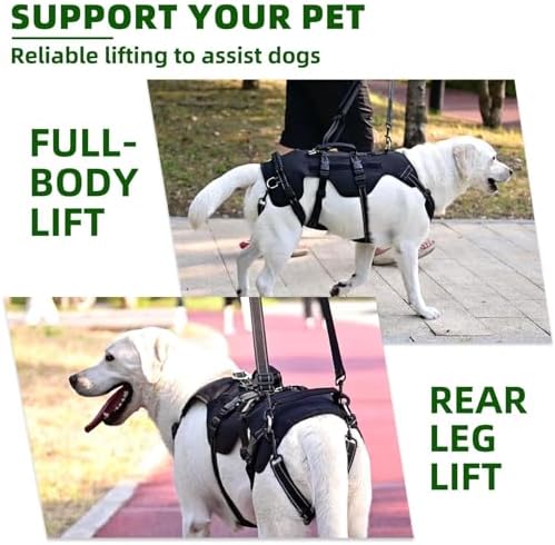 PUPTECK Dog Lift Harness for Medium Large Sized Dog, Rehabilitation Sling for Hind Leg Support, Multifunctional Mobility Assistance Harness for Old, Disabled, Joint Injuries, Paralysis Dogs, Black M - Image 2
