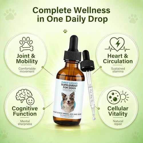 Longevity Supplement for Dogs, Senior Dog Supplements with NMN, NAD+, CoQ10 & Resveratrol - Nanoliposomal Liquid Drops for Joint Support, Heart Health & Healthy Aging - 60ml - Image 4