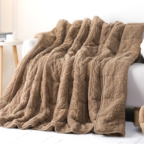 Cottonblue Jacquard Sherpa Weighted Blanket 15lbs for Adults Twin/Full Size by Cottonblue