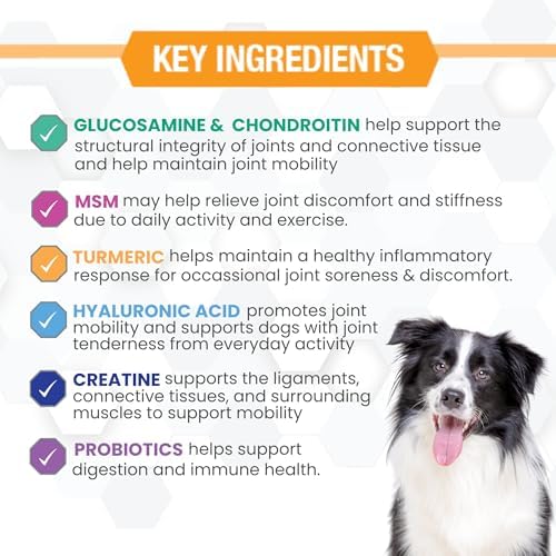Progility Hip & Joint Glucosamine Supplement for Dogs, Hyaluronic Acid - Image 4