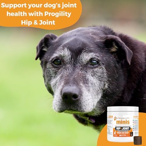 Progility Mini Hip & Joint Glucosamine Supplement, Small to Medium Dogs - Image 3