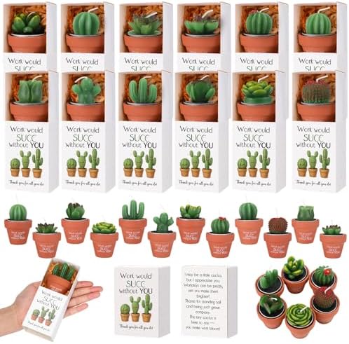 Lyrow 24 Sets Employee Appreciation Gift Cactus Tealight Candles Set Mini Handmade Succulent Candle Planter with Matchbox, Office Thanks Gift for End of Year Staff Team Teacher Volunteer by Lyrow
