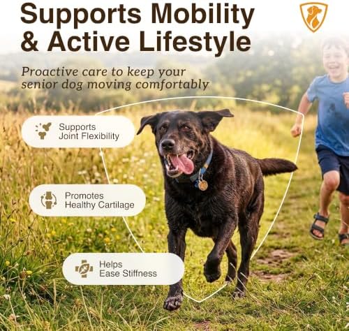 NutraRegen Select Forte Dog Joint Supplement for Senior Dogs – Glucosamine, Chondroitin, MSM, Collagen & Green-Lipped Mussel – Hip & Joint Mobility, Flexibility & Comfort – 45 Scoops - Image 2