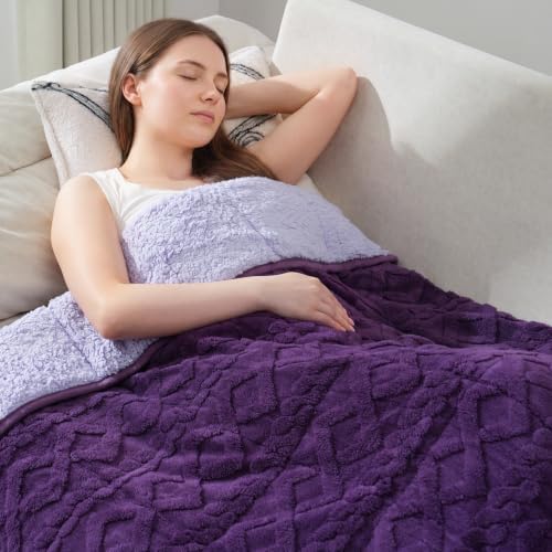 Drewin Weighted Blanket for Adults 15lbs,48" x 72",Dark & Light Purple by Home