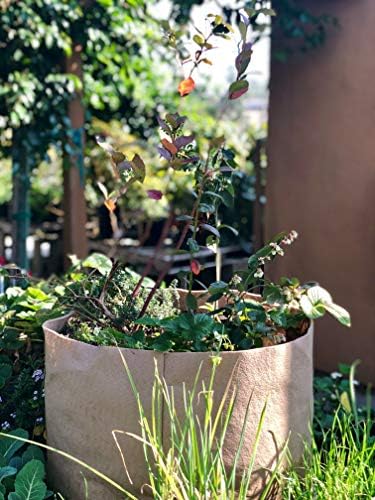 SMART POT 20-Gallon Soft-Sided Container, Tan (Pack of 3) - Image 6