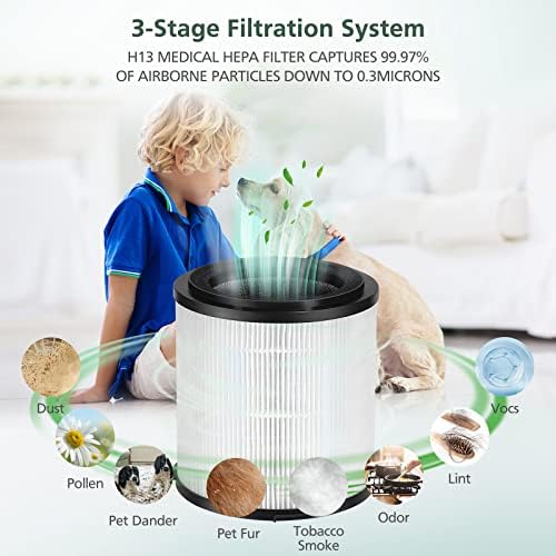 KJ150F-C02 True HEPA Replacement Filter for SilverOnyx 5-Speed Air Purifier (Large Room500 sq ft) for Pets, Smoke and Dust - Image 2