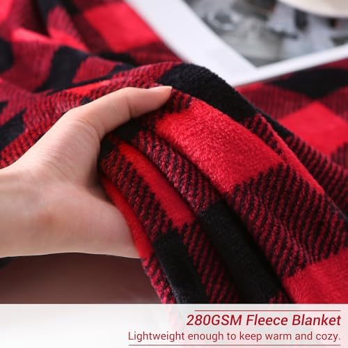 Viviland Checkered Blanket Queen Size - Soft Fuzzy Cozy Buffalo Plaid Microfiber Blanket for Bed, 90x90 Inches - Image 3