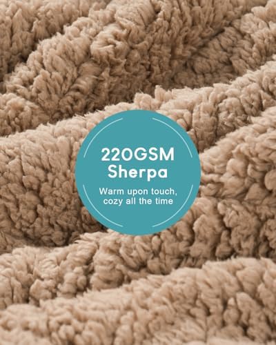 Cottonblue Jacquard Sherpa Weighted Blanket 10lbs for Adults Twin/Full Size - Image 4