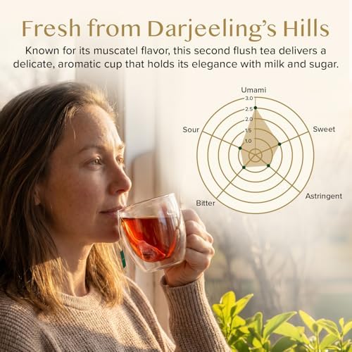 VAHDAM Darjeeling Tea Bags (100 Count) Black Tea in Pyramid Tea Bags - Image 4