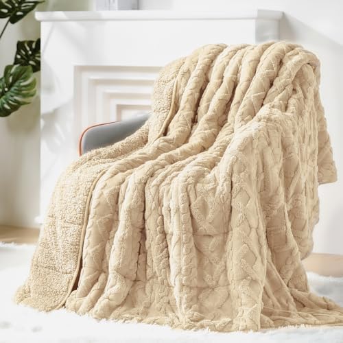 Ultra Soft Sherpa Weighted Blanket for Adults, 60"x80" 15lbs Heavy Blankets by EazfyPro