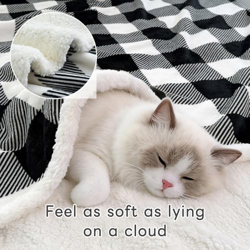 Gracelife Sherpa Fleece Throw Blanket for Couch, Fluffy Plush Warm Fuzzy Blanket for Women and Men, Cozy Thick Soft Twin Blanket for Bed(Black, 80"*90") - Image 3