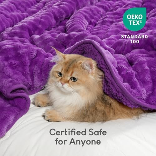 Cottonblue Weighted Blanket 15lbs for Adults Queen Size 60"x80" Soft Sherpa - Image 4