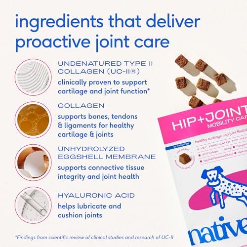 Native Pet Mobility Care - Hip & Joint Supplement for Dogs - UC-II Collagen, Egg Shell Membrane & Hyaluronic Acid - Dog Joint Supplement Chews Supports Cartilage, Mobility & Flexibility - 120 Chews - Image 3