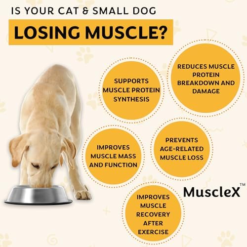MuscleX™ Canine Muscle Formula Cats & Small Dogs with 300 mg CaHMB & Vitamin D3 - Natural Muscl Building Formula-Helps Reduce Muscle Loss Due to Normal Aging & Improves Recovery from Injury(180 Caps) - Image 3