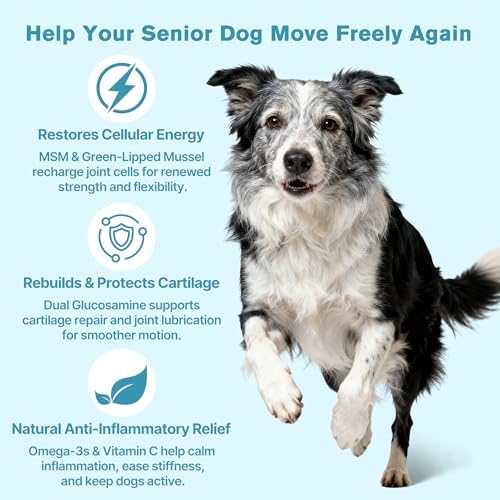 Hip & Joint Senior Dog Supplement–Advanced Glucosamine Chondroitin for Dogs with MSM, Green Lipped Mussel,and Omega-3 – Supports Mobility and Reduces Joint Pain for Senior Dogs(120ct Chewable Tablets) - Image 5