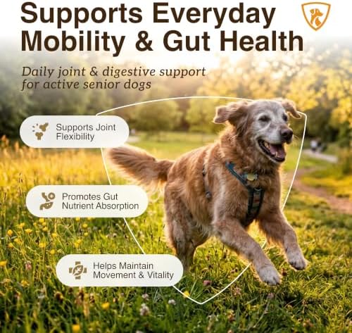 NutraRegen Select Optima Dog Joint Supplement for Senior Dogs – Glucosamine, Chondroitin & MSM + Probiotics & Prebiotics – Mobility, Joint & Digestive Health – 60 Scoops - Image 2