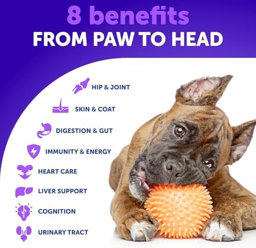 Dog Vitamins - 70 Treats - Dog Multivitamin Supplement - 26 in 1 Nutrients - Image 2