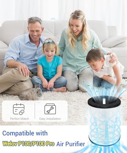 P100/P100 Pro Replacement Filter Compatible with Welov Air Purifier P100-RF - Image 2