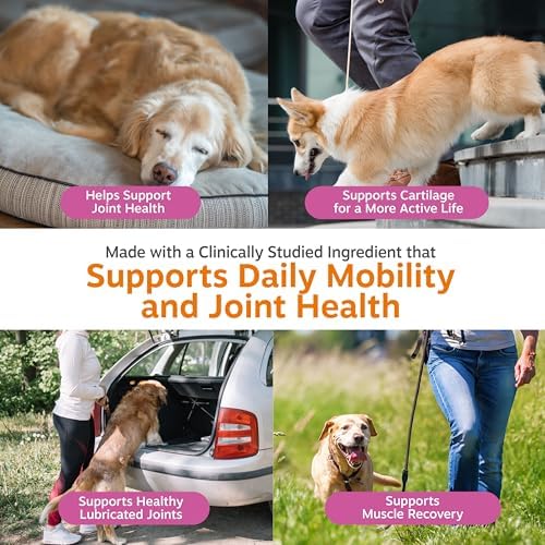 Zesty Paws Hip and Joint Supplement for Dogs - Glucosamine with Chondroitin, MSM, Vitamins C and E Dog Joint Relief - Mobility Bites Duck – 90 Count (Pack of 3) - Image 3