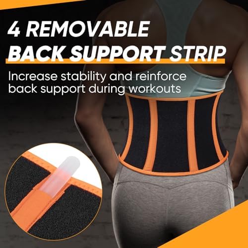 APEXUP Waist Trainer for Women Lower Belly Fat, Men Sweat Band, Stomach Wrap, Waist Trimmer with Removable Lumbar Support - Image 3