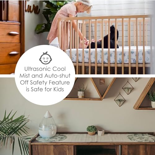 Crane Ultrasonic Cool Mist Humidifier for Bedroom, Baby Nursery, Kids Room, Plants, or Office, Large 1 Gallon Tank, Filter Optional, Clear and White - Image 3