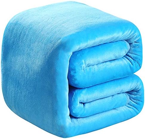Polar Fleece Blankets Queen Size Light Blue for The Bed Extra Soft Brush Fabric Super Warm Sofa Blanket 90" x 90"(Lake Blue Queen) by RICHAVE