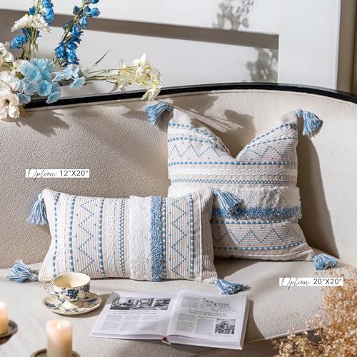 BlissBlush Decorative Throw Pillow Covers 20x20 Combo Set of 2 Square Coastal Blue Boho Accent Pillowcase Tassels Farmhouse Cushion for Couch Sofa Bedroom Living Room Home Décor Cover ONLY - Image 4