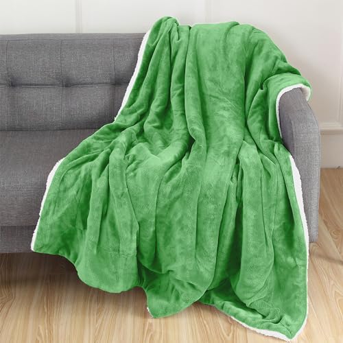 Elegant Comfort Luxury Ultra-Plush Velvet Touch Fleece Throw Soft, Warm, Cozy| Micromink Sherpa-Backing Reversible Blanket for Bed, Sofa and Couch, Solid Emerald Green - Image 2