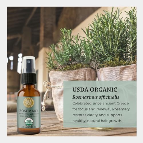 Silk Road Organic Rosemary Essential Oil & Jojoba Spray, USDA Certified - Image 6