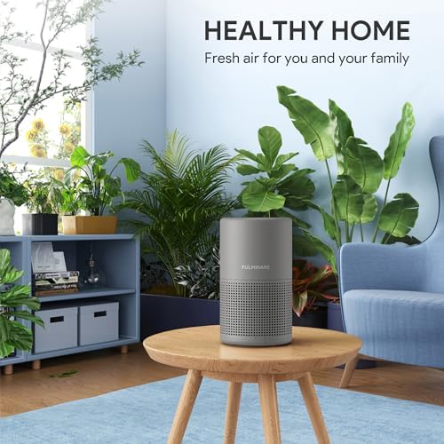 FULMINARE Air Purifiers for Bedroom H13 True HEPA Air Filter (Gray) - Image 2
