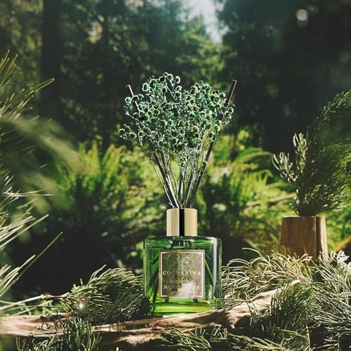 COCORRÍNA Reed Diffuser - Redwood National Park 6.7 Fl.oz Reed Diffuser Set with 8 Sticks & Preserved Baby's Breath, Reed Diffuser for Home Bathroom Shelf Decor - Image 6