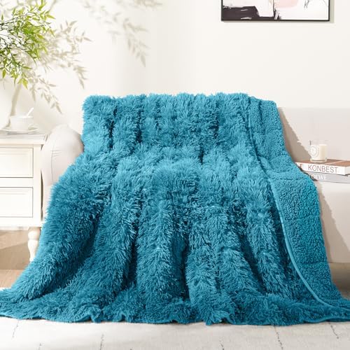 Cottonblue Sherpa Weighted Blanket 10 lbs for Adults Full Twin Size 48"x72" by Cottonblue