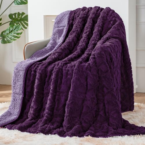 Sherpa Fleece Weighted Blanket for Adults, Dual Sided Soft, 60"x80" 20lbs by EazfyPro